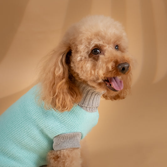 Maglioncino Dolcevita a Due Colori a Contrasto - Verde Acqua