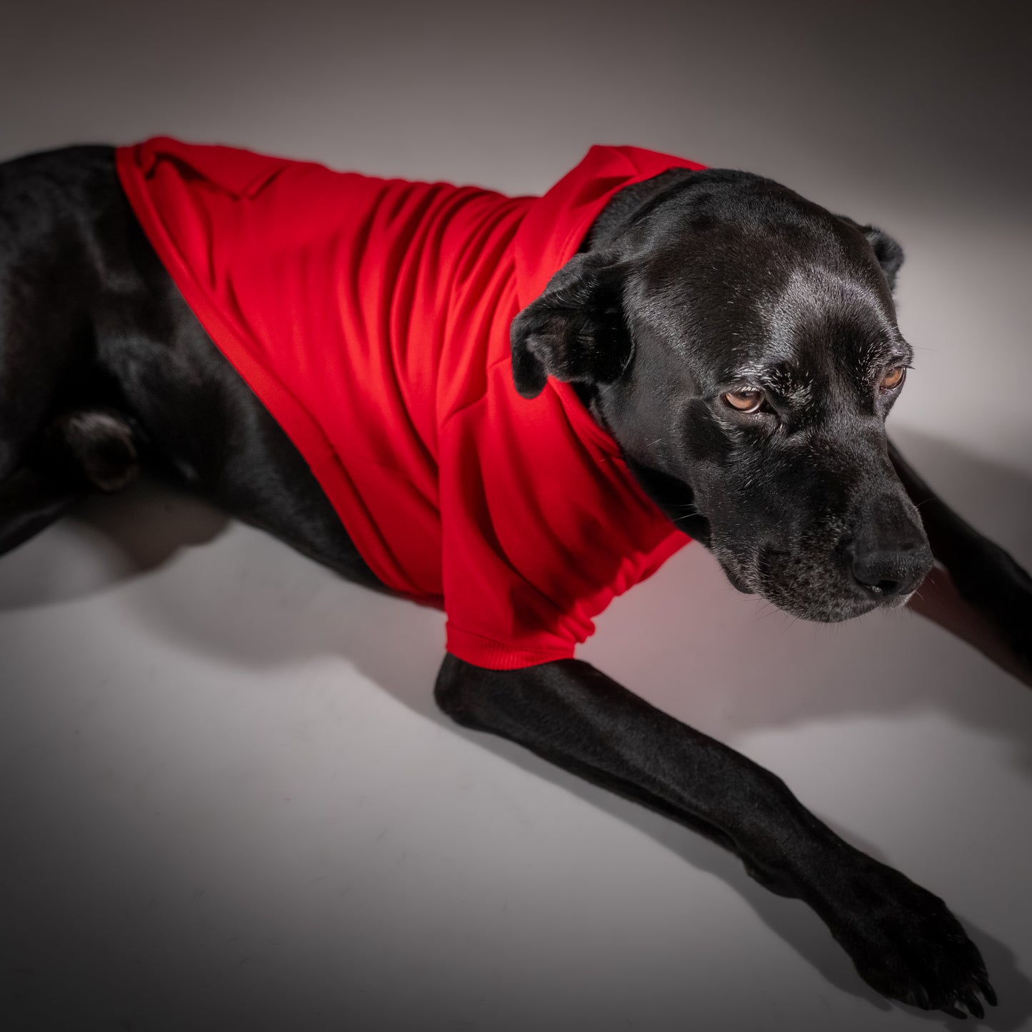 Felpa con Cappuccio - Rosso