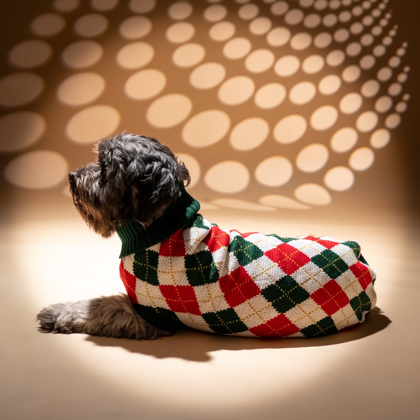 Maglioncino a rombi per cani - Verde