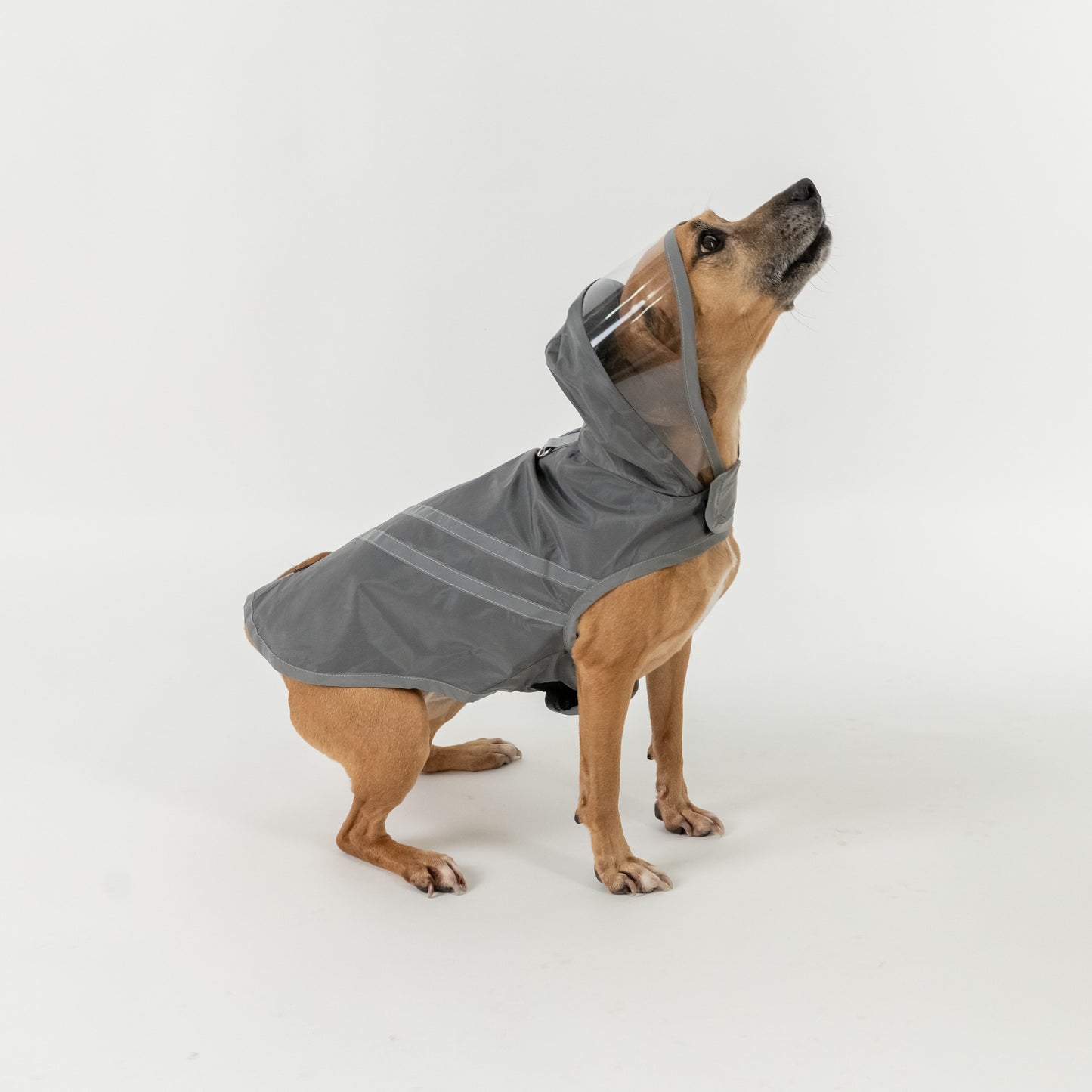 Impermeabile per Cani - Grigio