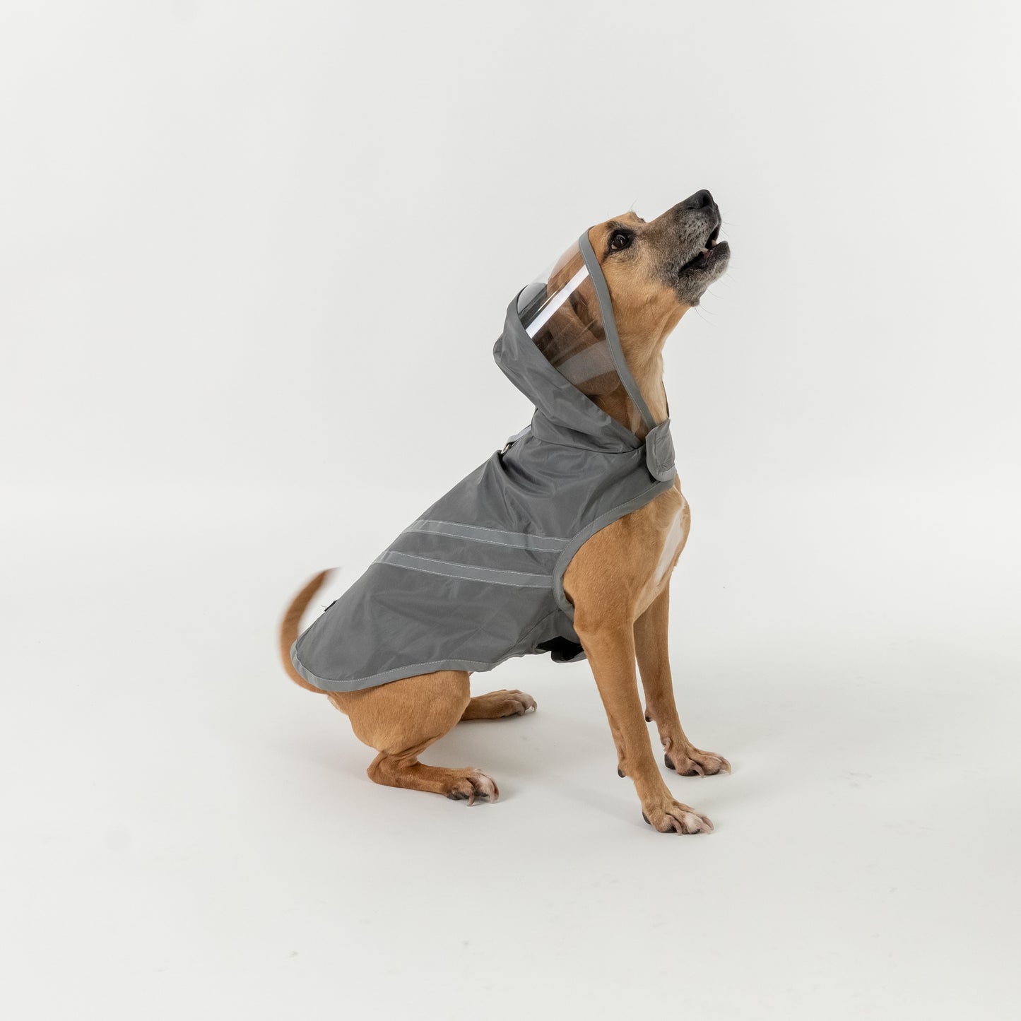 Impermeabile per Cani - Grigio