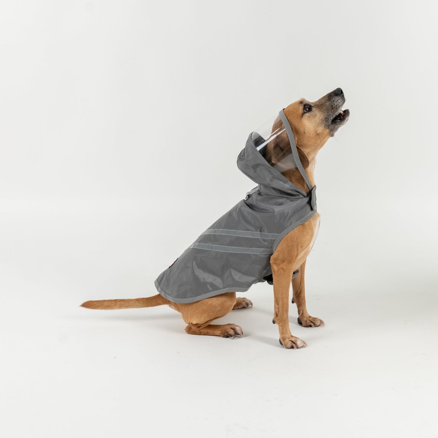 Impermeabile per Cani - Grigio