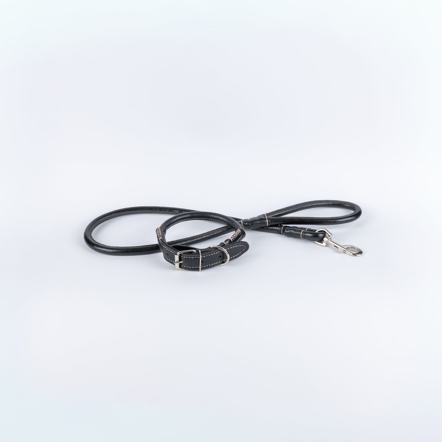 Set Collare e Guinzaglio in Ecopelle con Cuciture a Contrasto - Nero
