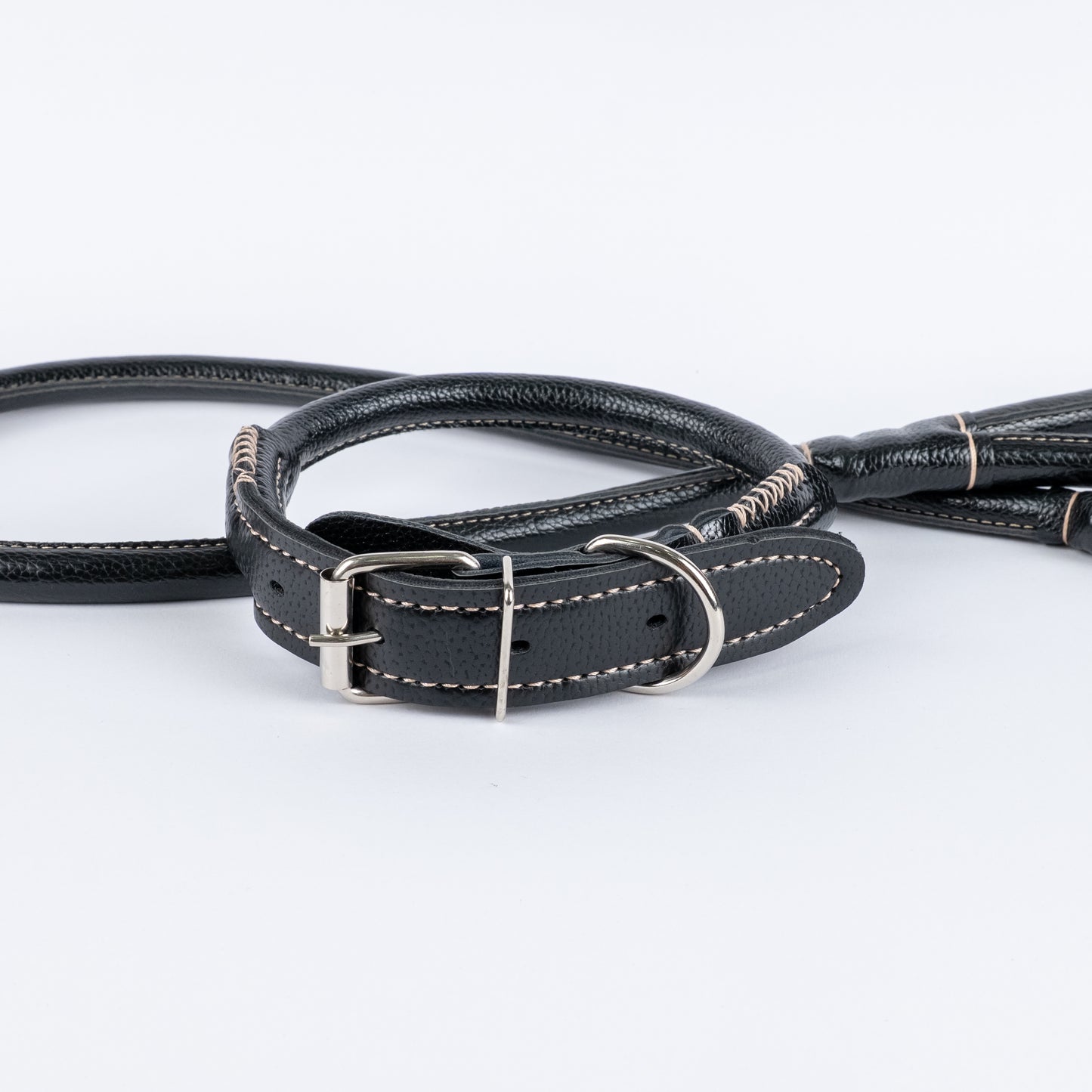 Set Collare e Guinzaglio in Ecopelle con Cuciture a Contrasto - Nero