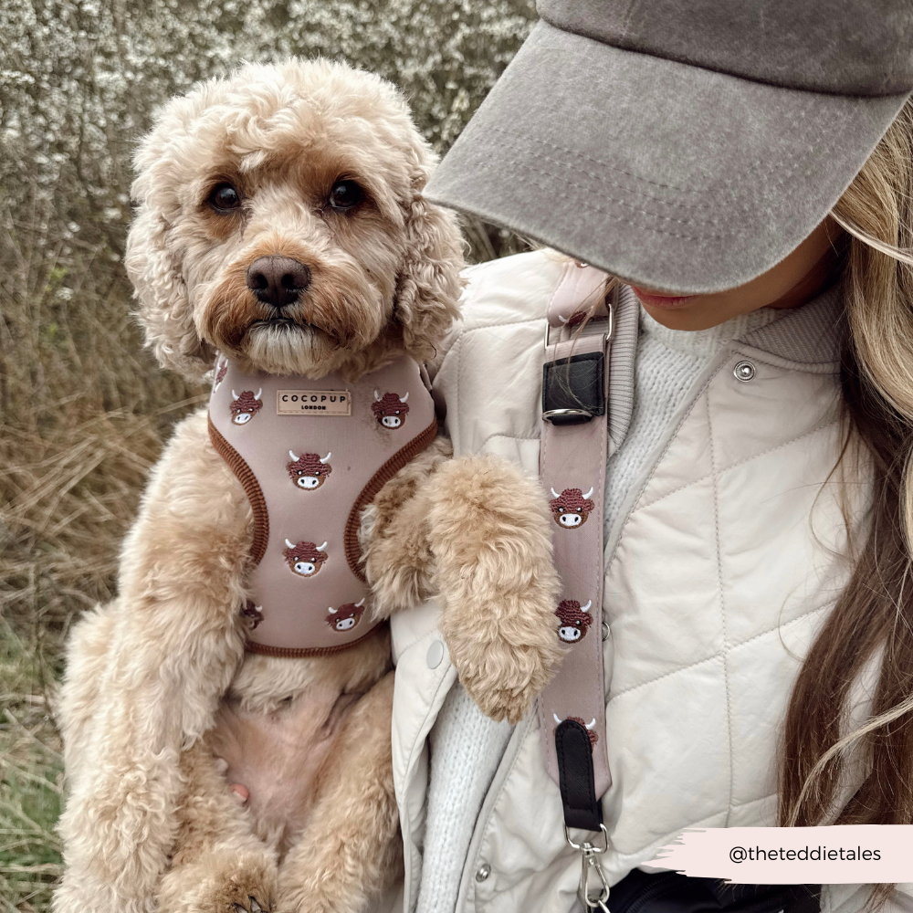 Pettorina regolabile - Harold the Highland Cow