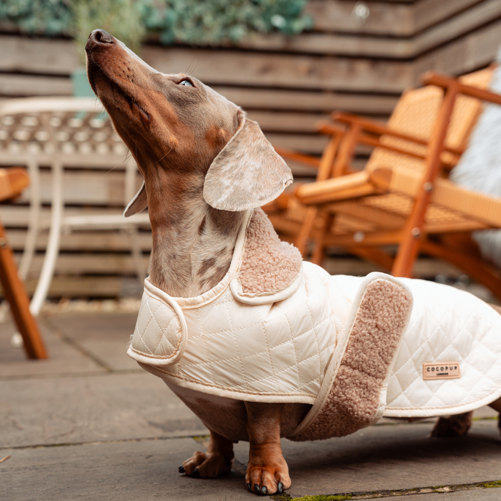 Cappotto trapuntato per cani LUXE - Creamy Chai