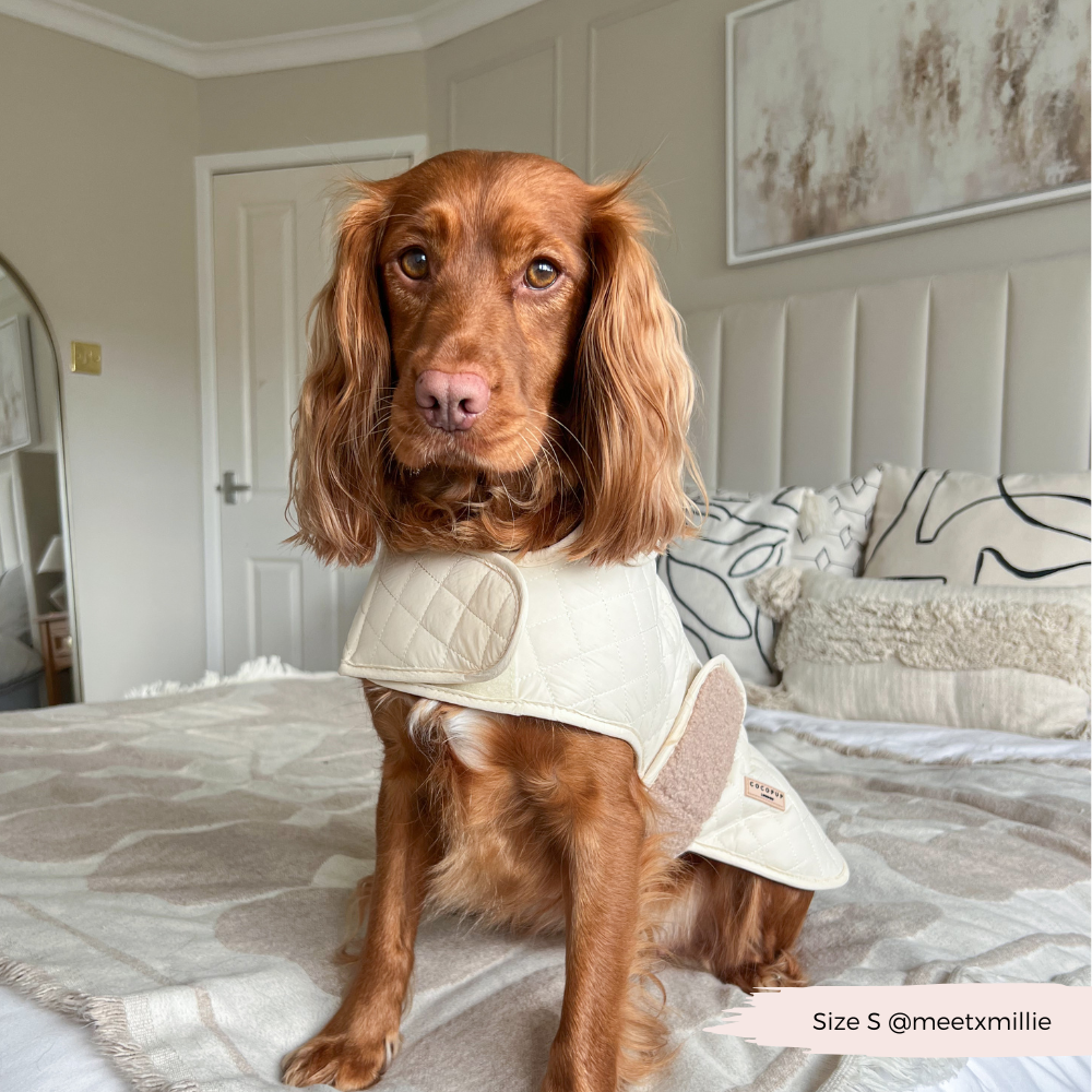 Cappotto trapuntato per cani LUXE - Creamy Chai