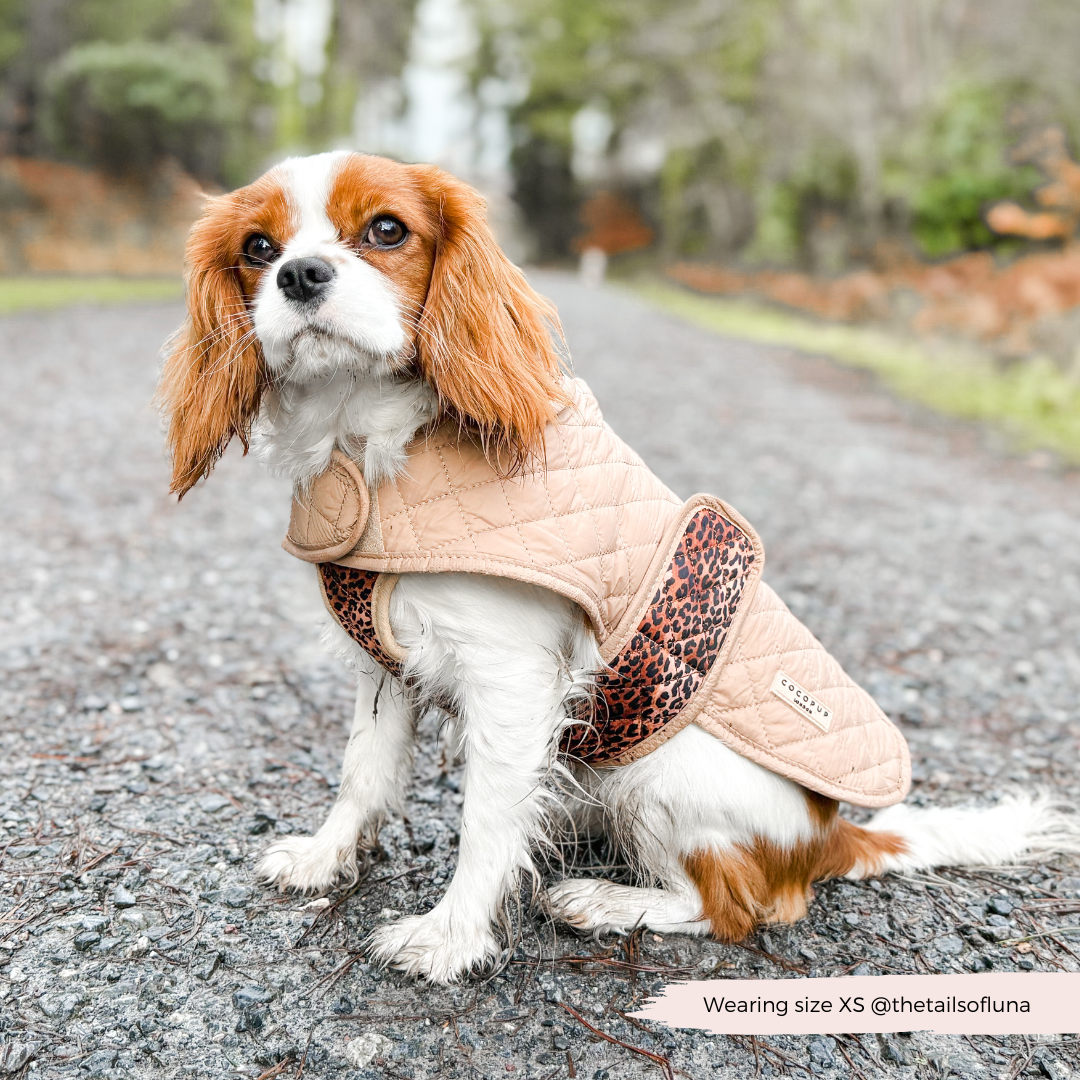 Cappotto trapuntato per cani LUXE - Cucciolo leopardato