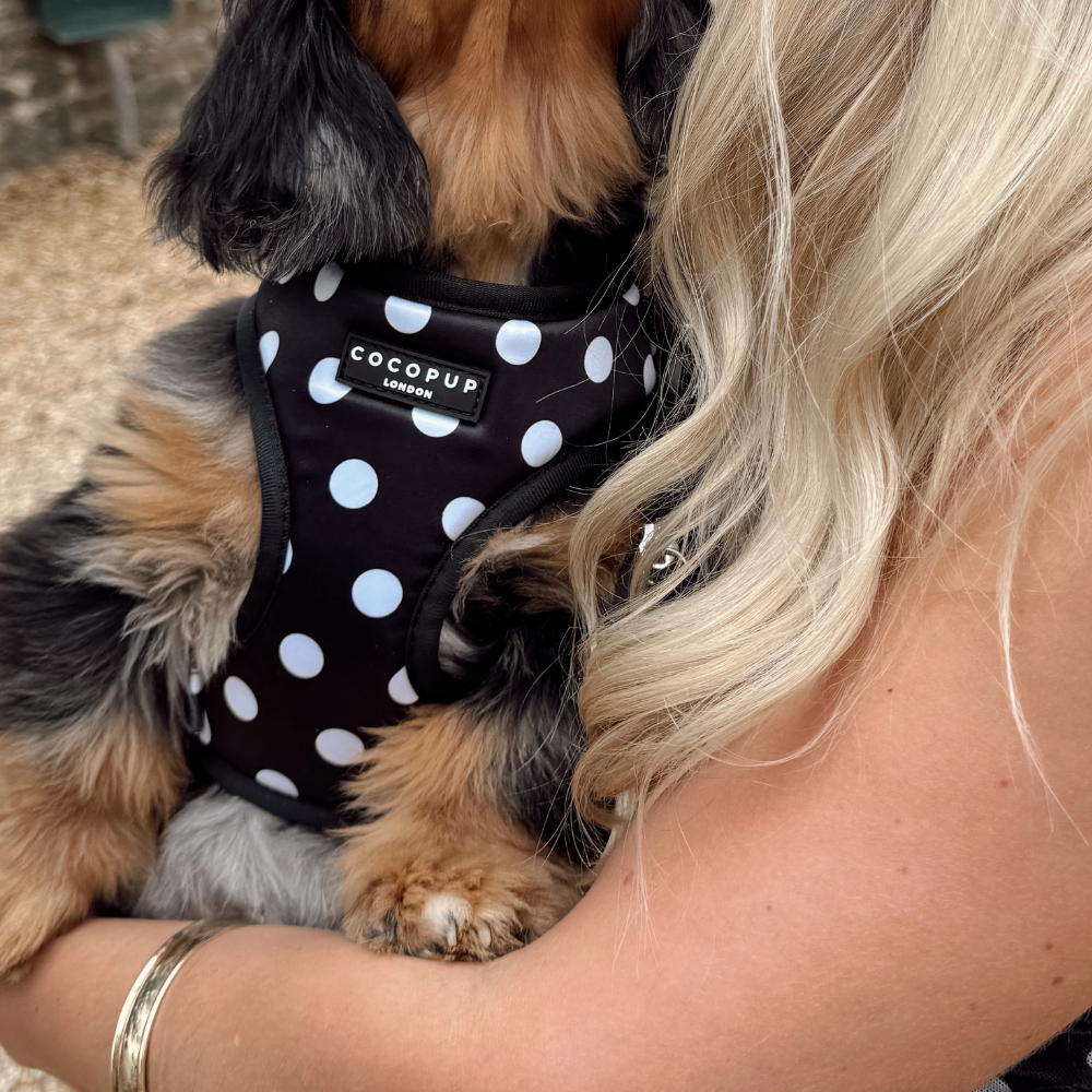 Pettorina regolabile in raso a pois: XS