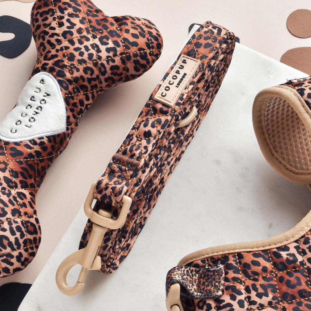 Guinzaglio trapuntato - cucciolo di leopardo