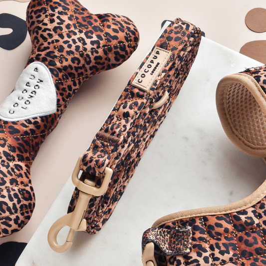 Guinzaglio trapuntato - cucciolo di leopardo