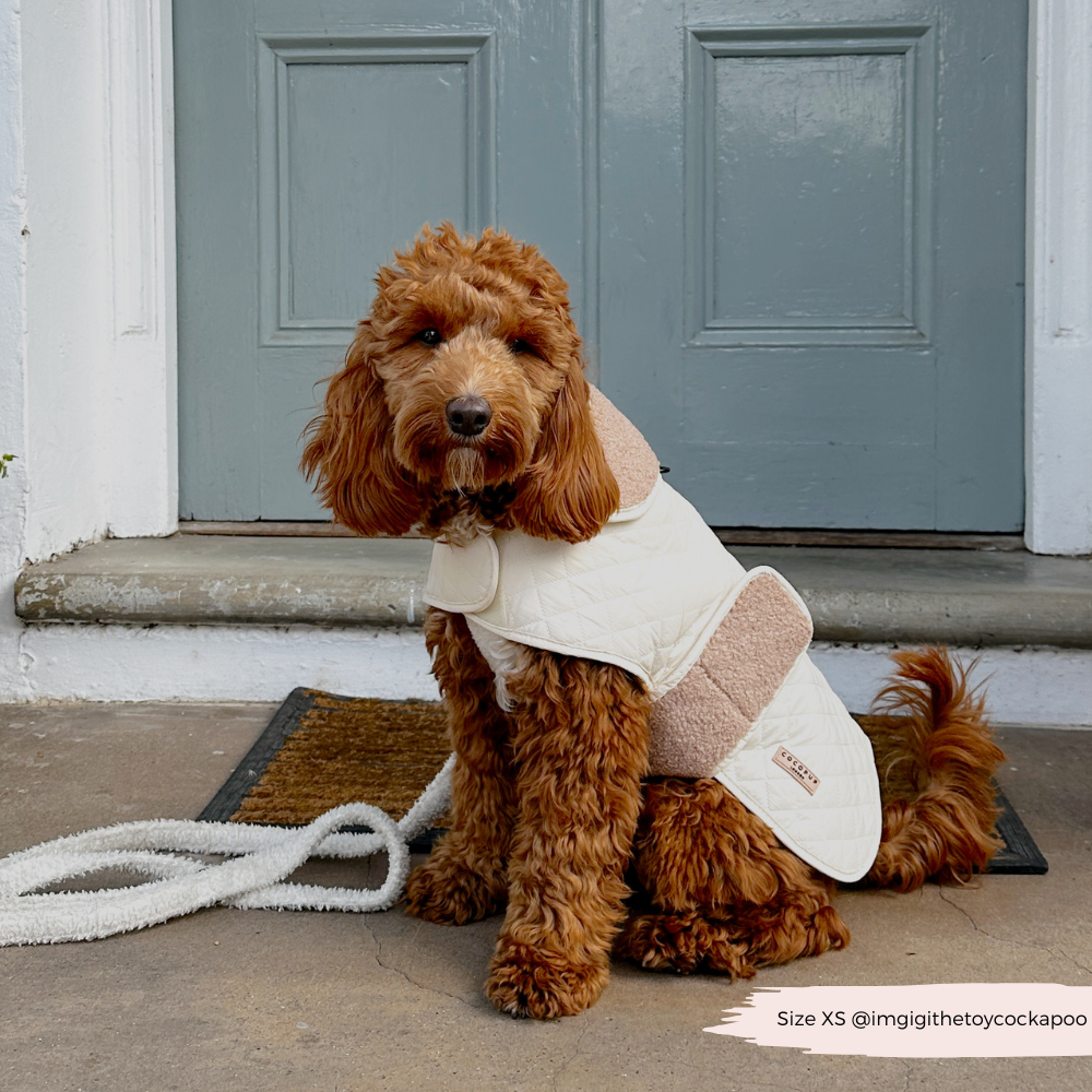 Cappotto trapuntato per cani LUXE - Creamy Chai