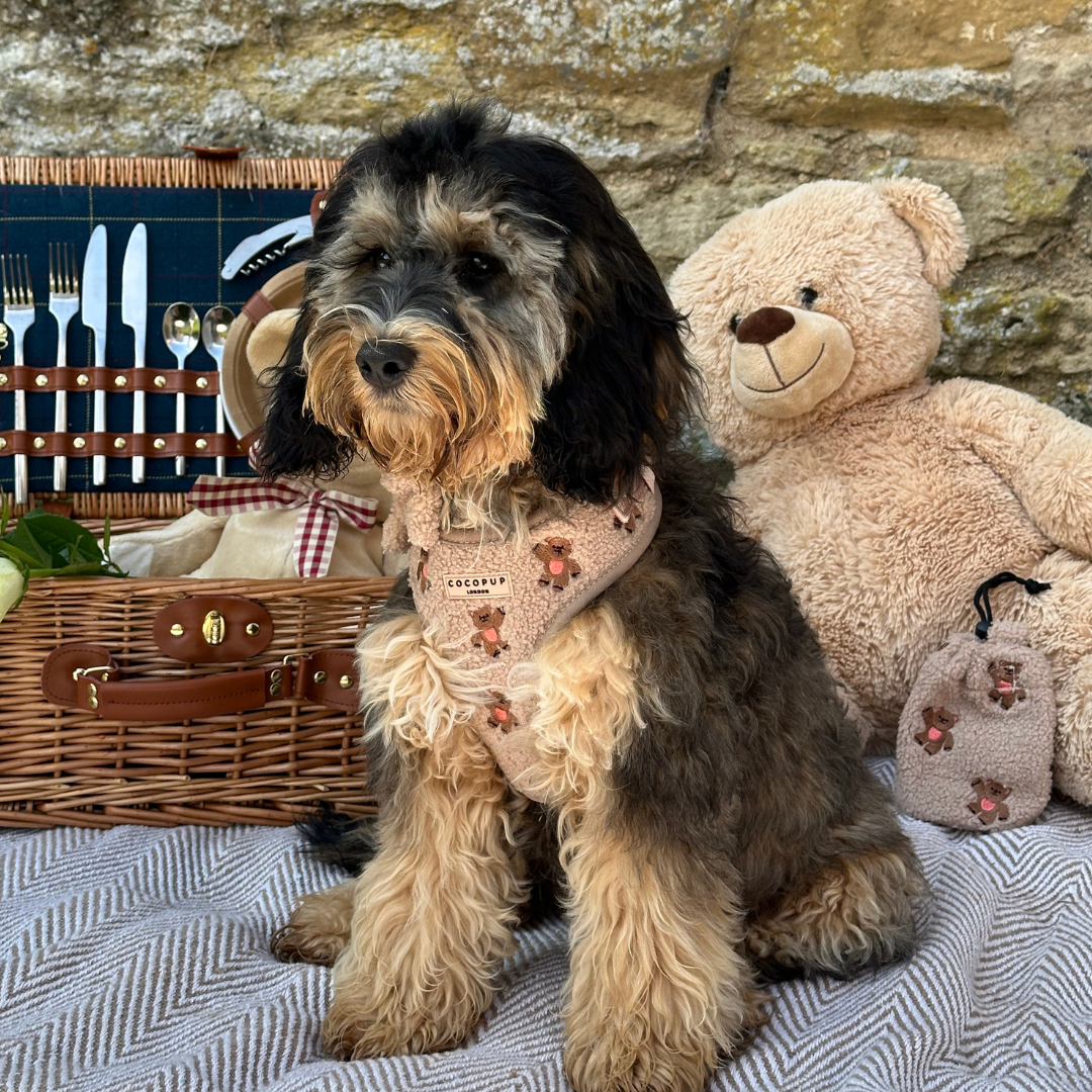 Pettorina regolabile ricamata - Theo Teddy