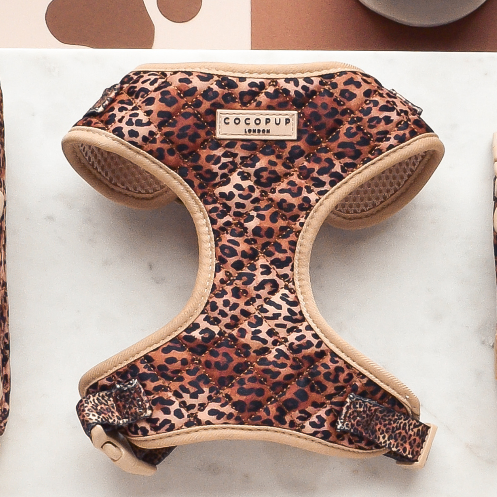 Pettorina regolabile - cucciolo di leopardo trapuntato