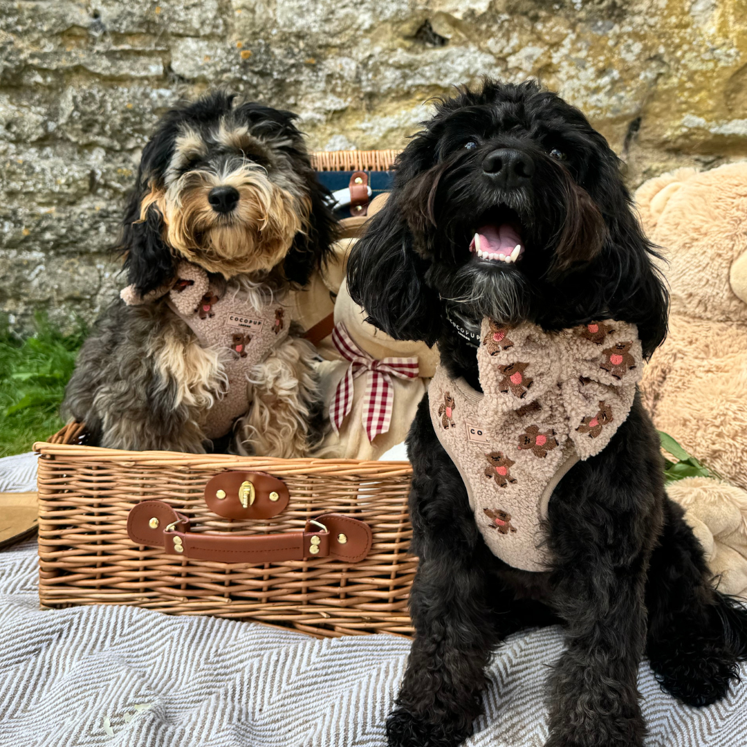 Pettorina regolabile ricamata - Theo Teddy