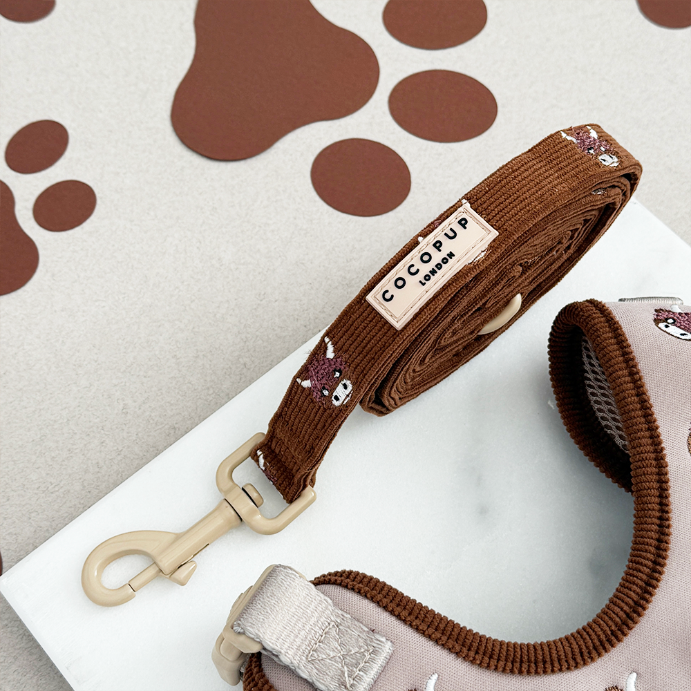 Guinzaglio - Harold the Highland Cow