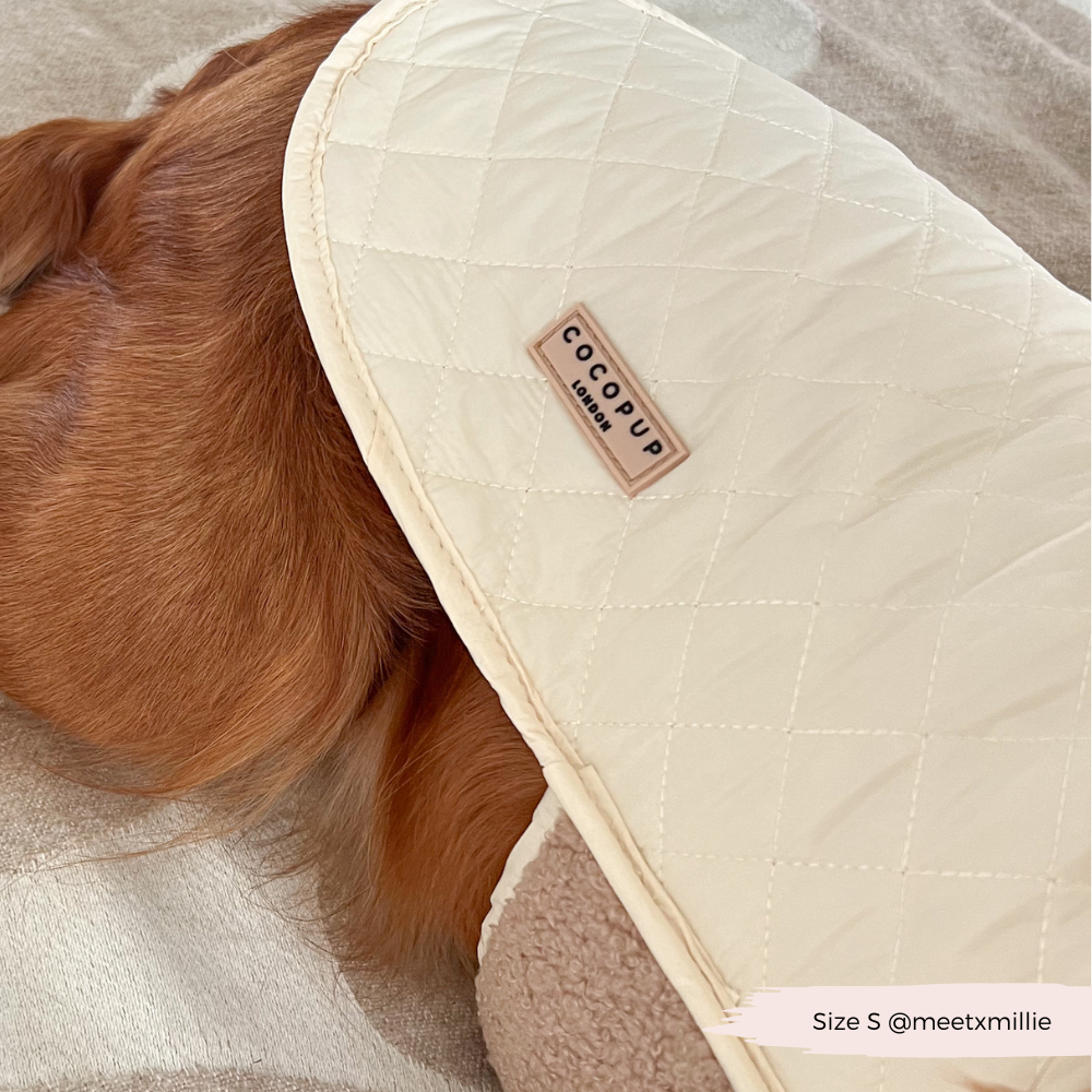 Cappotto trapuntato per cani LUXE - Creamy Chai