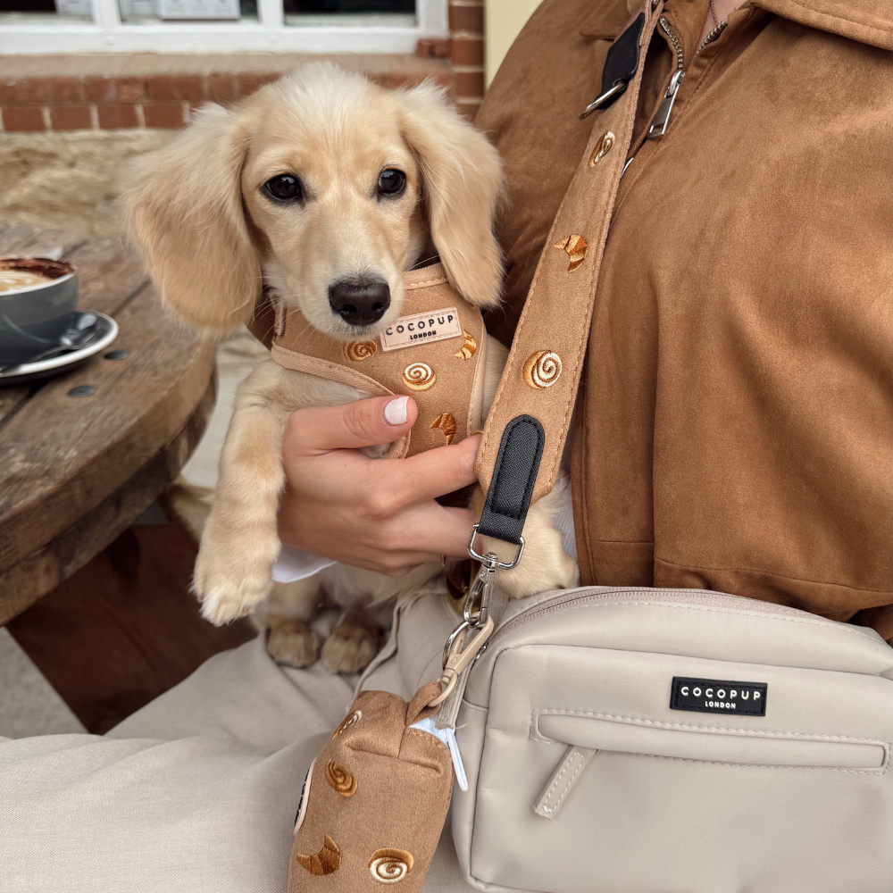 Pettorina regolabile - Pawtisserie