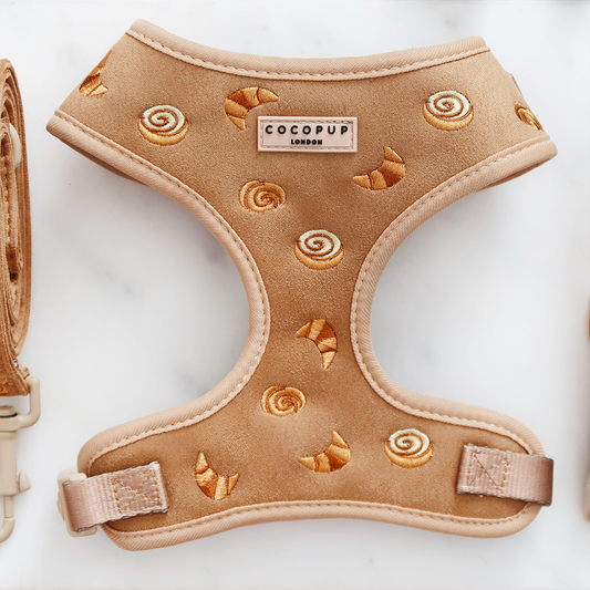 Pettorina regolabile - Pawtisserie