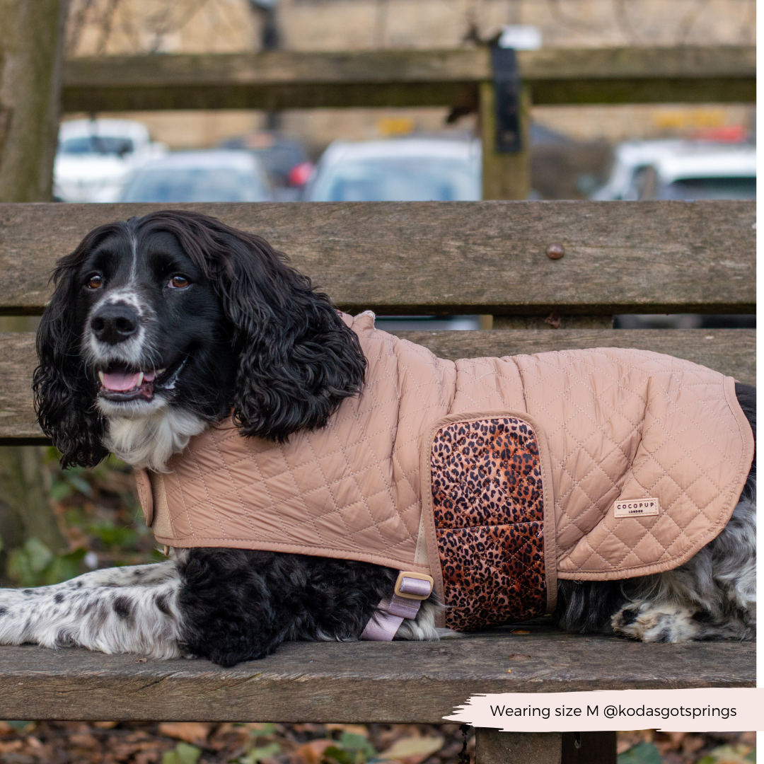 Cappotto trapuntato per cani LUXE - Cucciolo leopardato