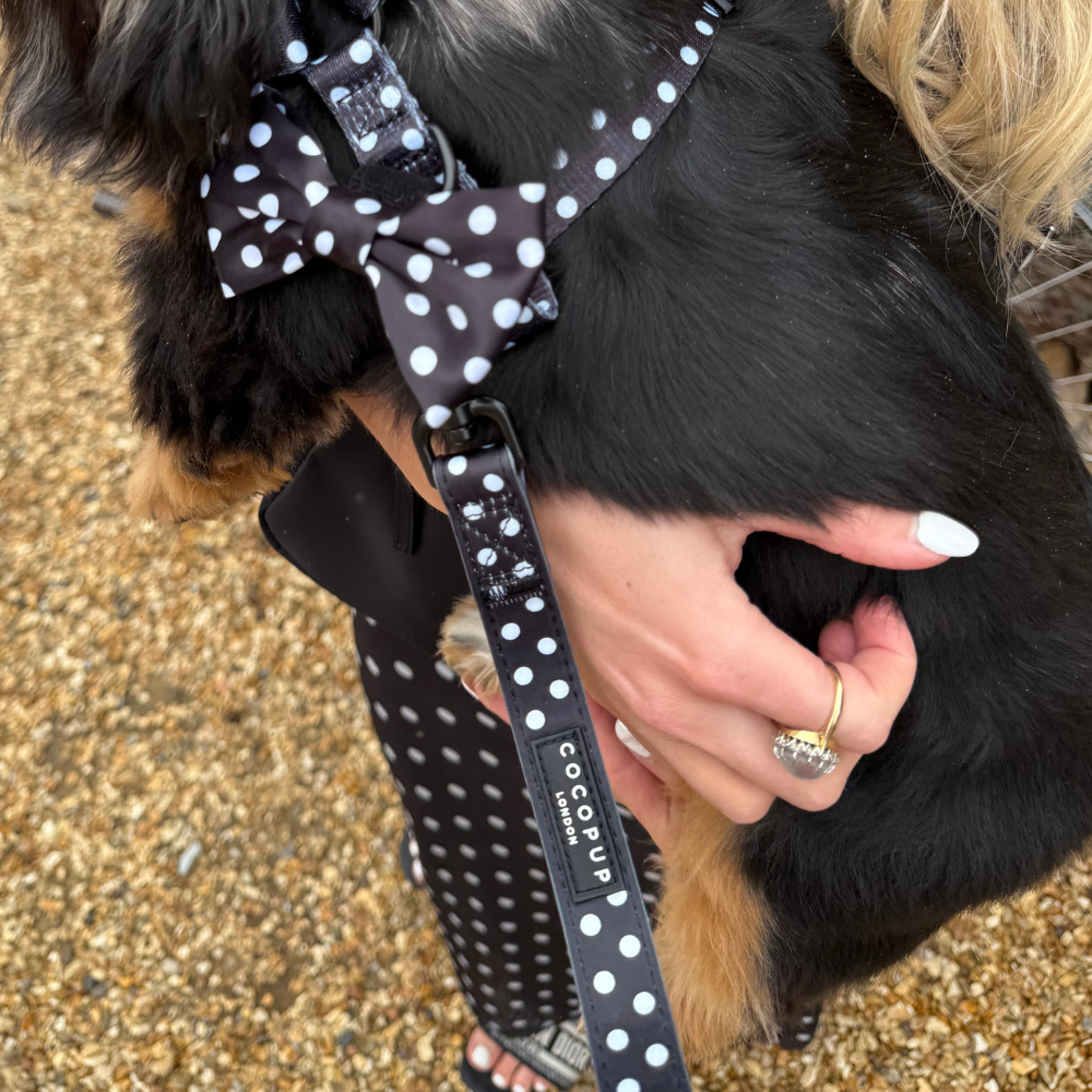 Guinzaglio in raso a pois