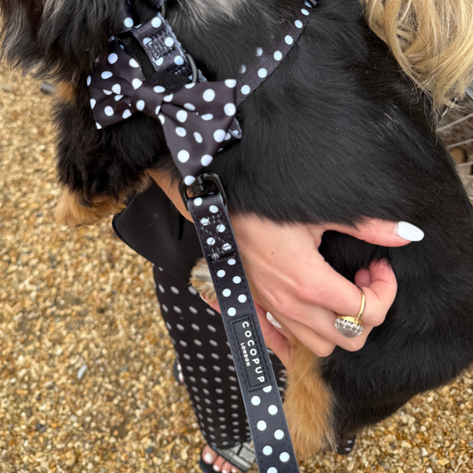 Guinzaglio in raso a pois