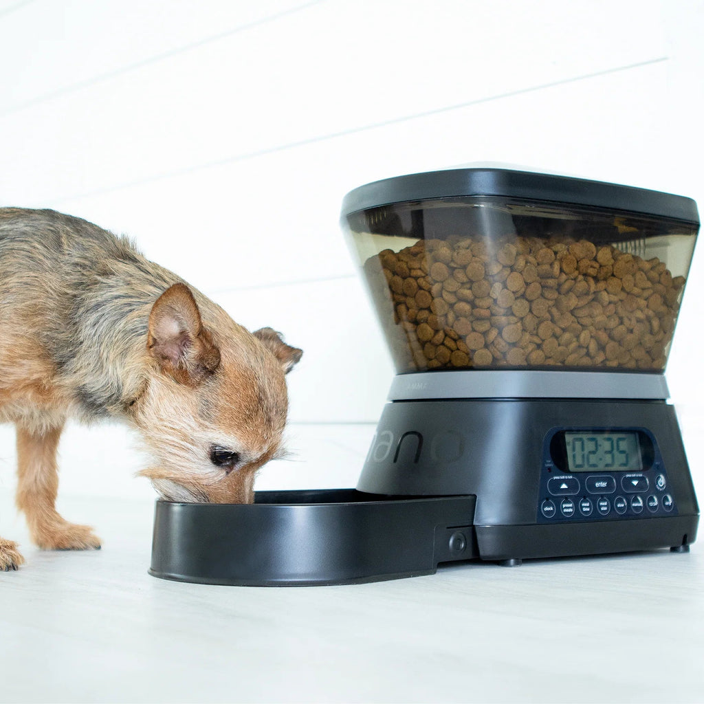 Distributore Automatico di Cibo – Programmabile per Cani e Gatti