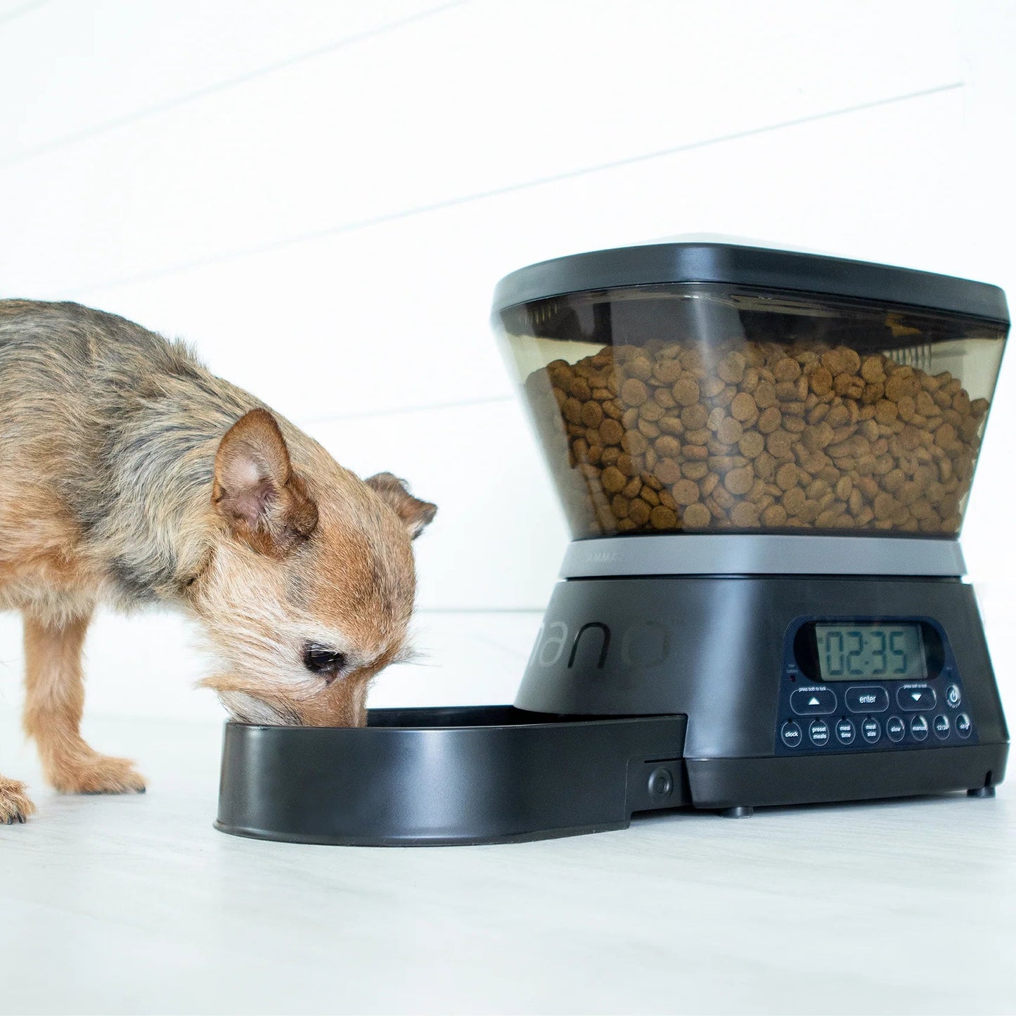 Distributore Automatico di Cibo – Programmabile per Cani e Gatti