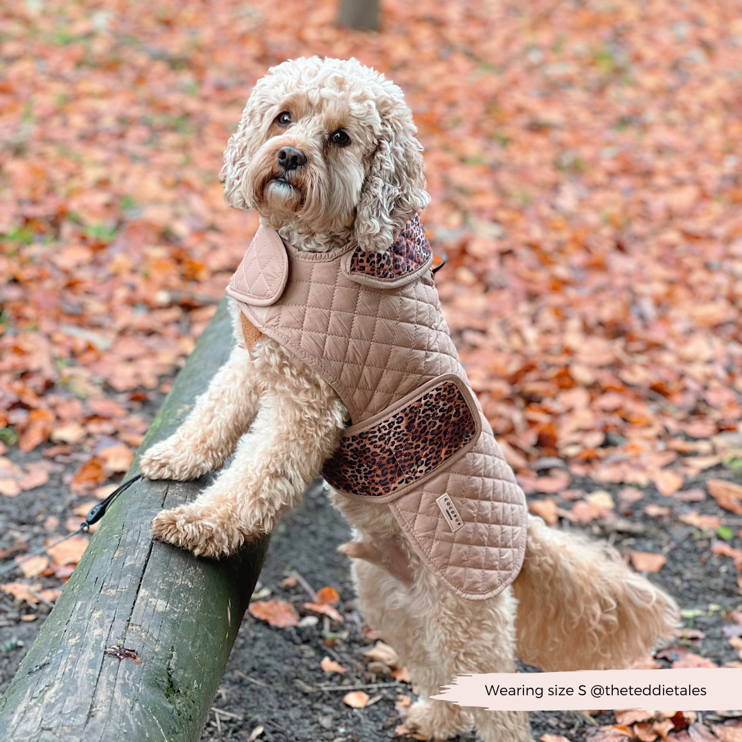 Cappotto trapuntato per cani LUXE - Cucciolo leopardato