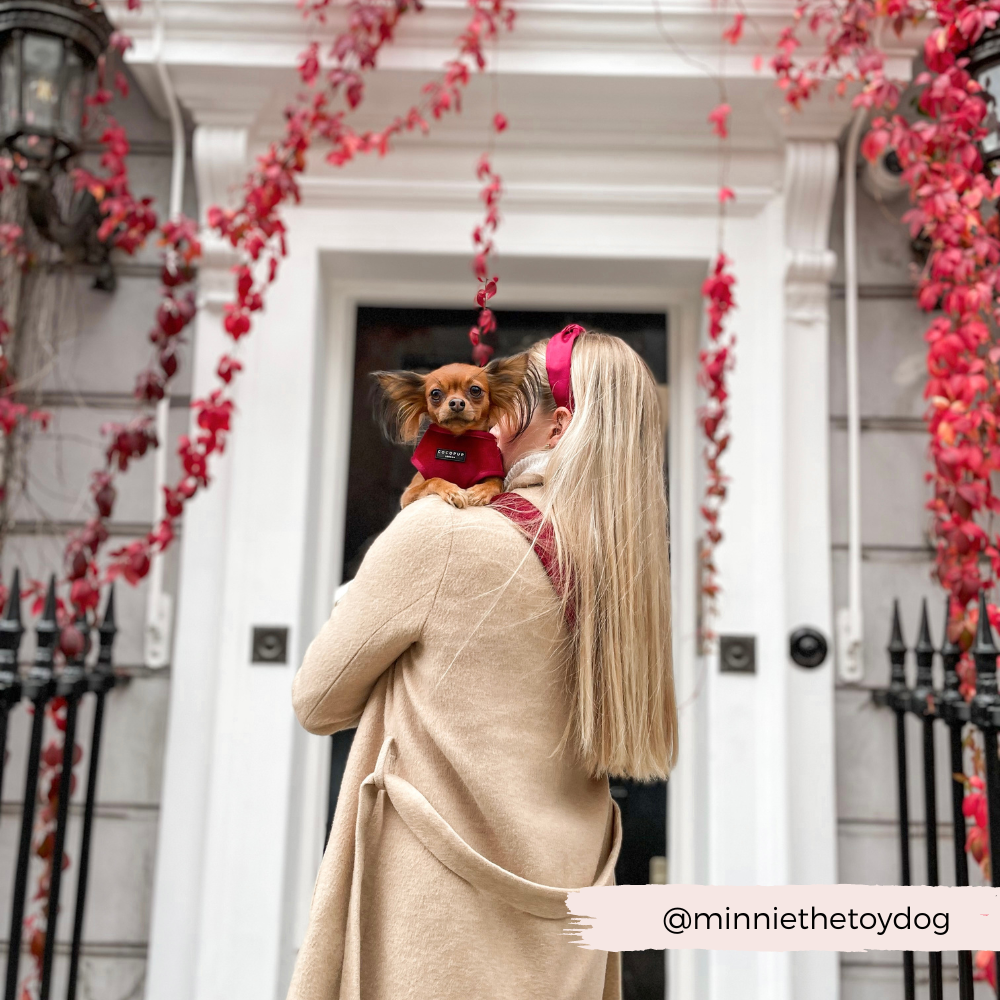 Pettorina da collo regolabile in velluto LUXE - Berry Red