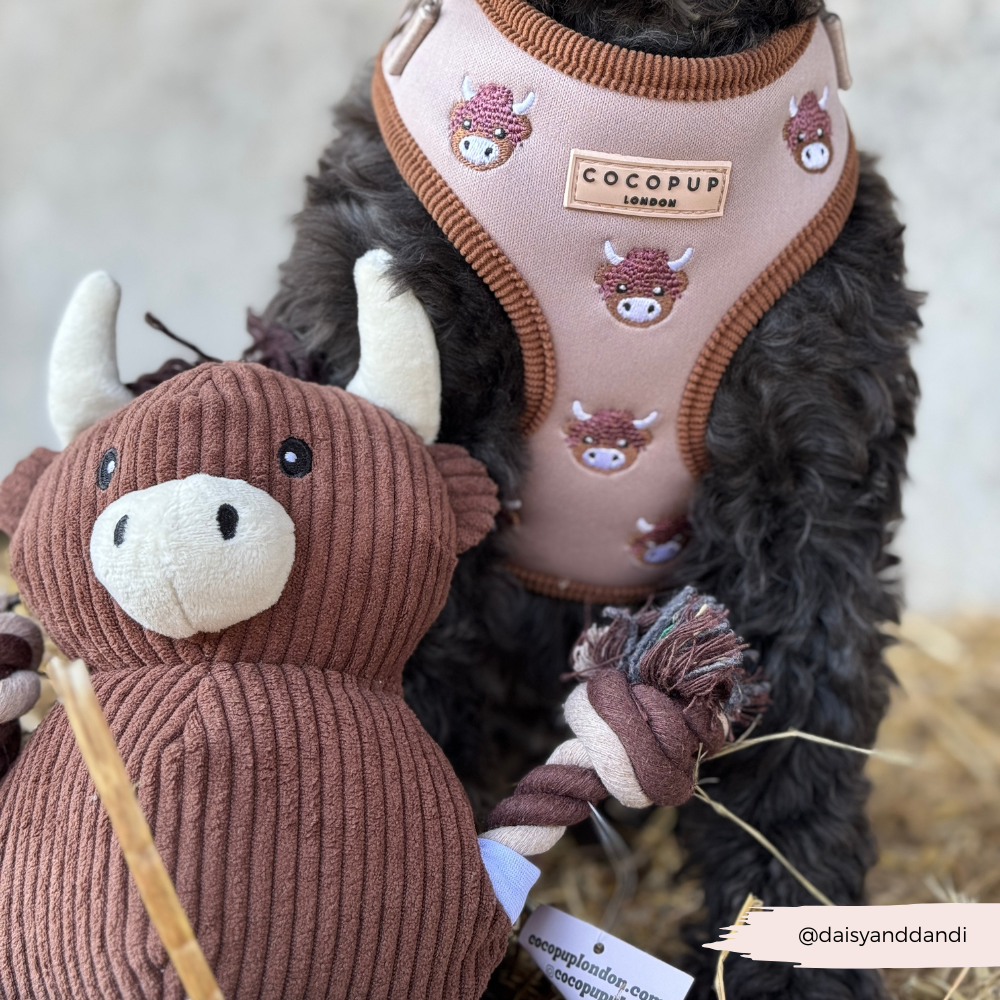 Pettorina regolabile - Harold the Highland Cow