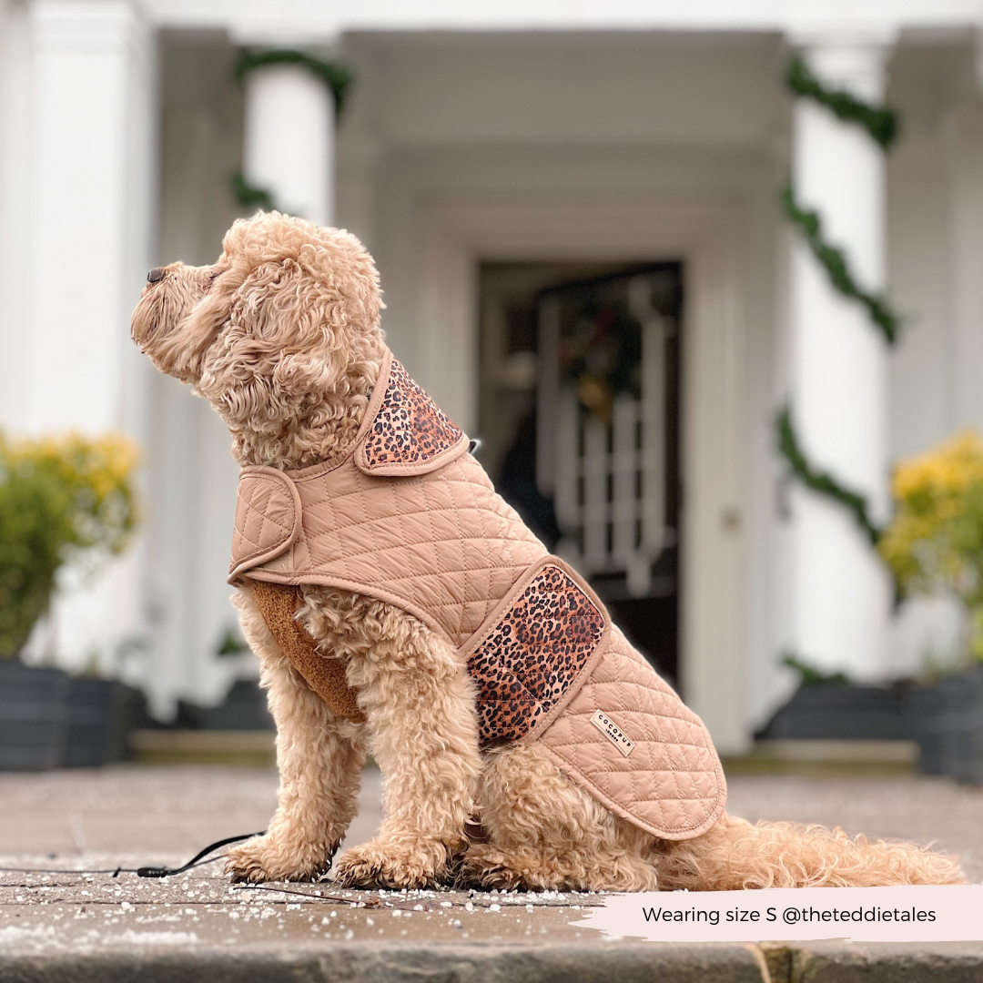 Cappotto trapuntato per cani LUXE - Cucciolo leopardato