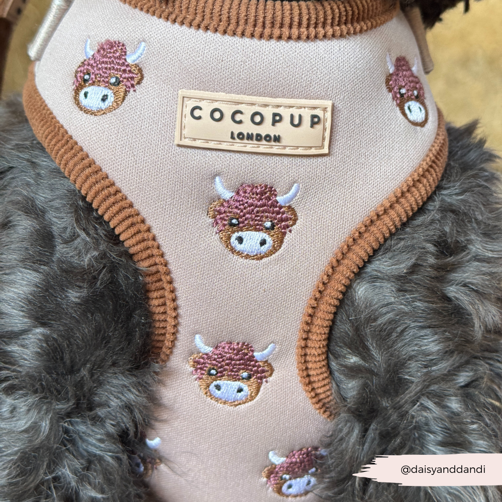 Pettorina regolabile - Harold the Highland Cow