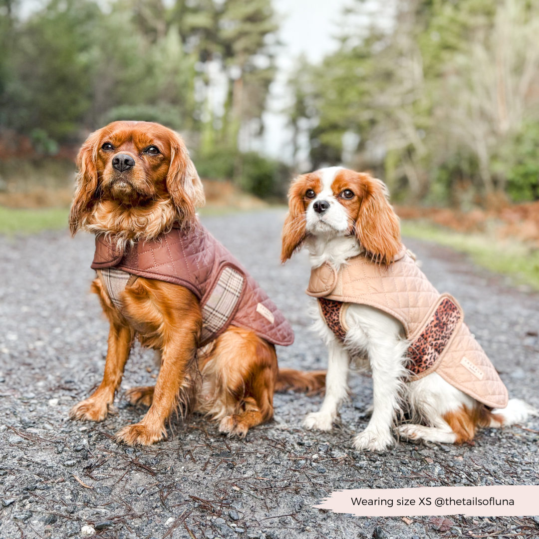 Cappotto trapuntato per cani LUXE - Cucciolo leopardato