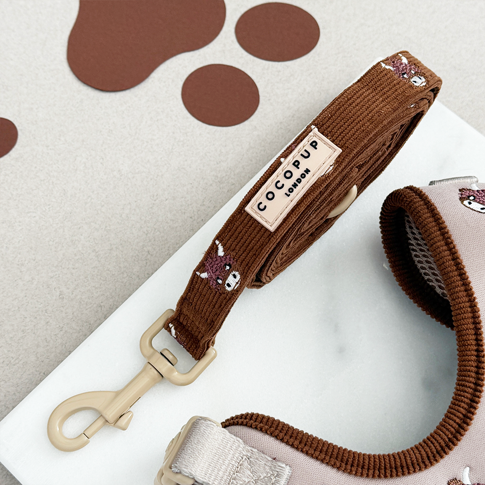 Guinzaglio - Harold the Highland Cow