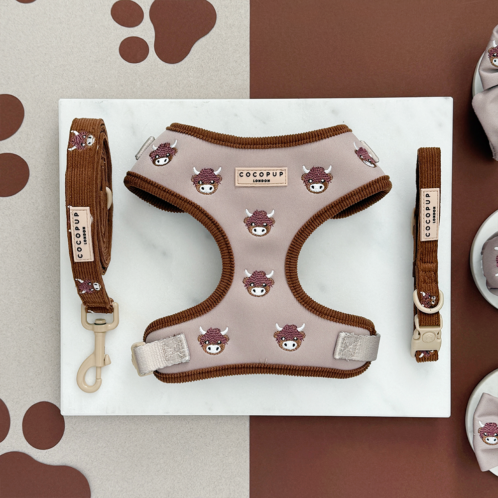 Guinzaglio - Harold the Highland Cow