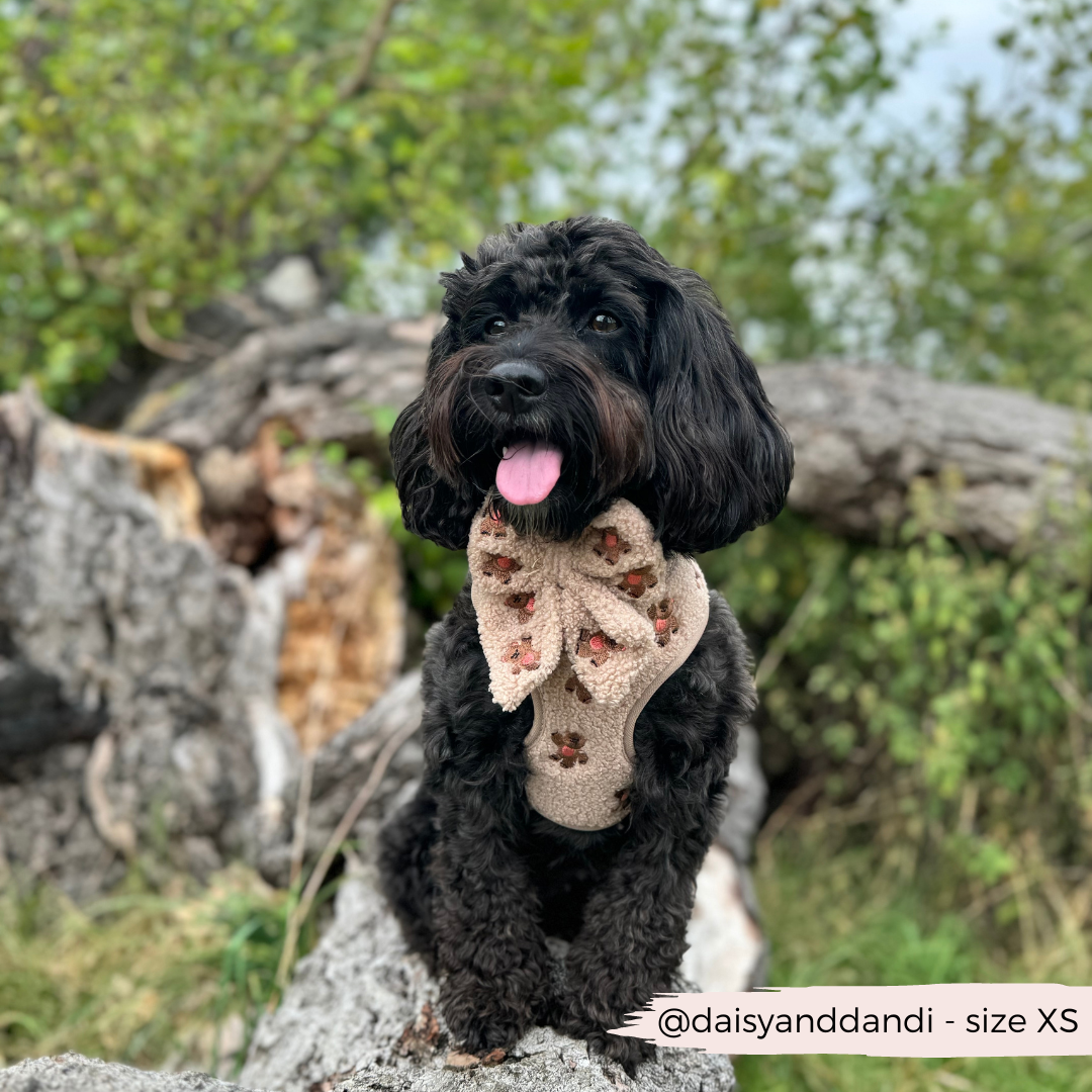 Pettorina regolabile ricamata - Theo Teddy