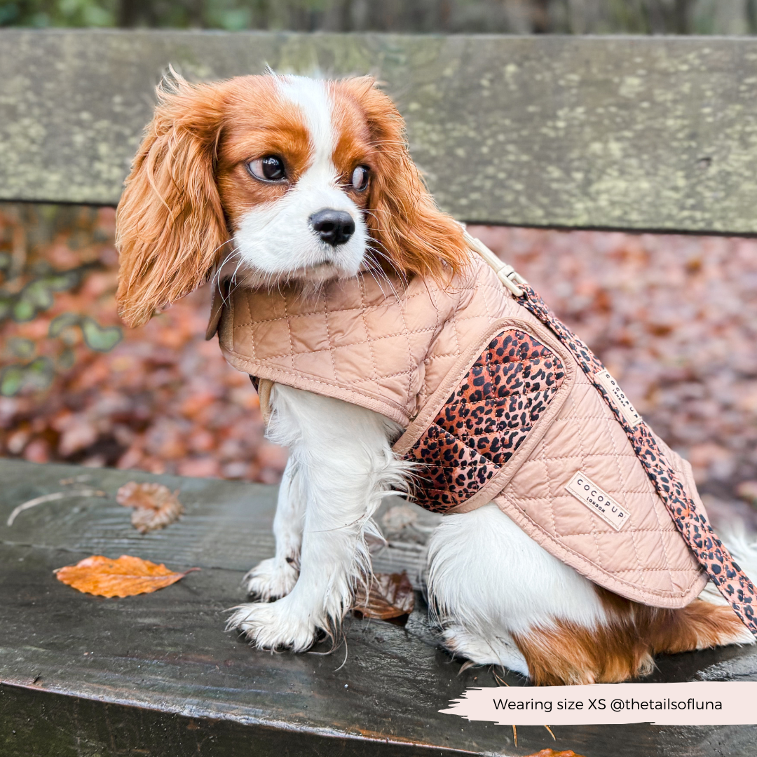 Cappotto trapuntato per cani LUXE - Cucciolo leopardato
