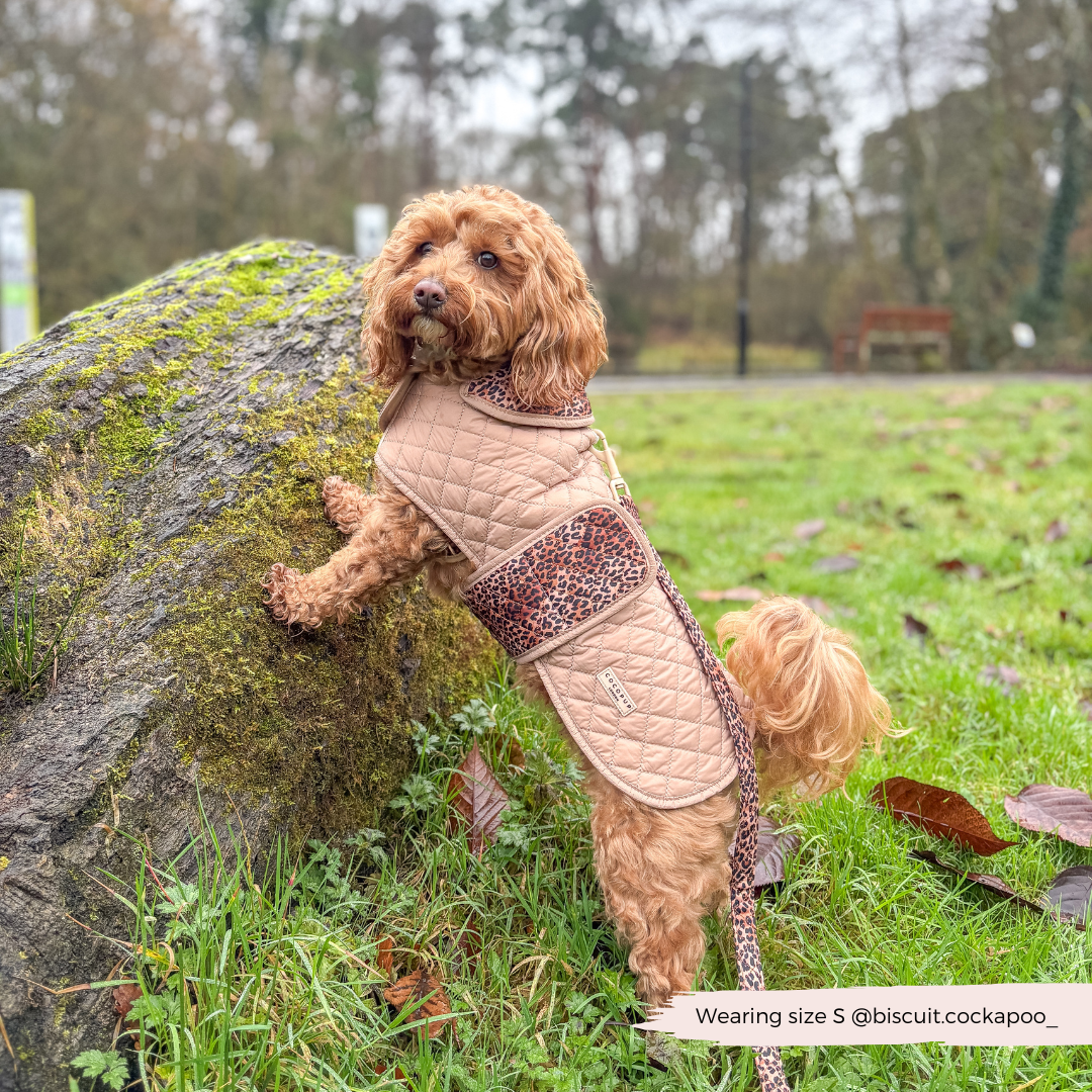 Cappotto trapuntato per cani LUXE - Cucciolo leopardato