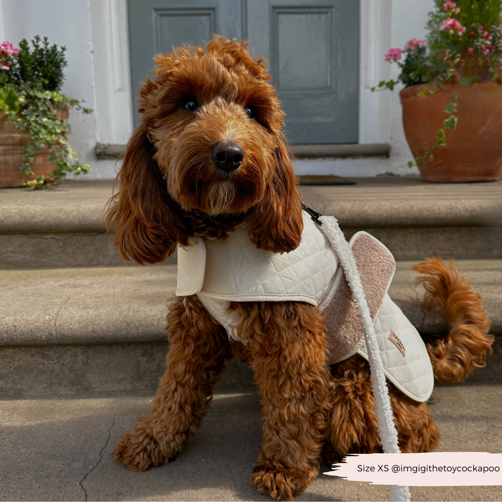 Cappotto trapuntato per cani LUXE - Creamy Chai