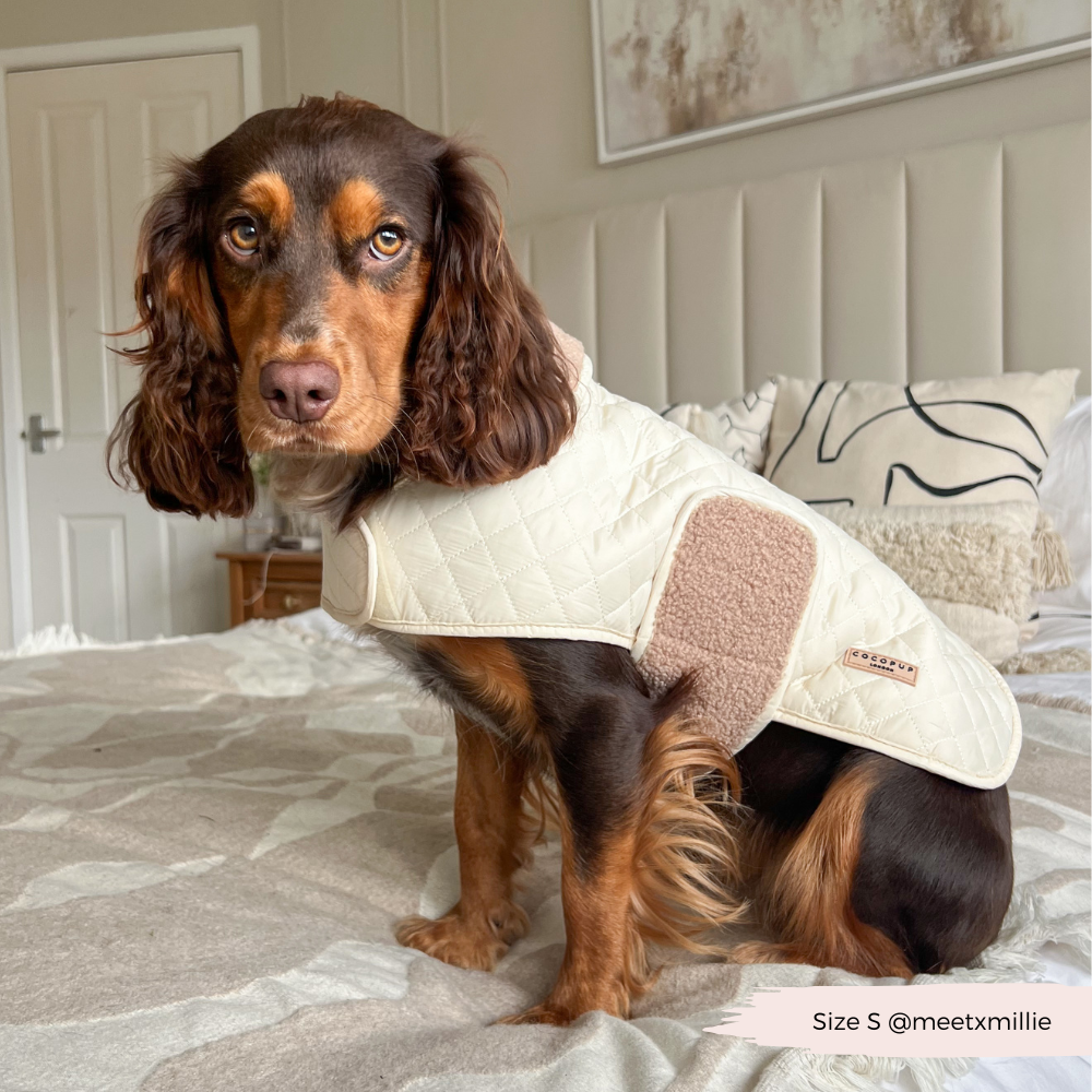 Cappotto trapuntato per cani LUXE - Creamy Chai