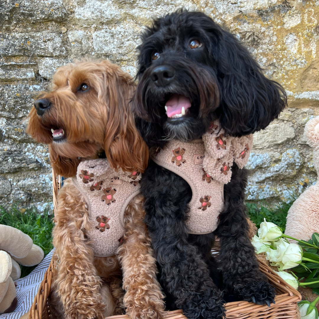 Pettorina regolabile ricamata - Theo Teddy