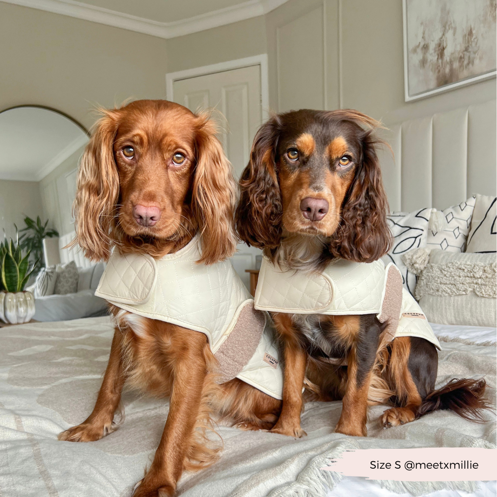 Cappotto trapuntato per cani LUXE - Creamy Chai