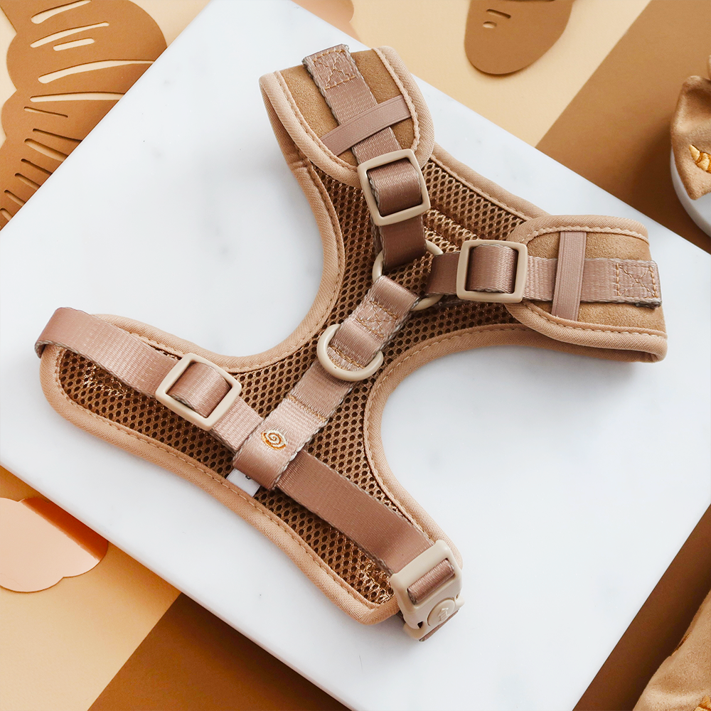 Pettorina regolabile - Pawtisserie