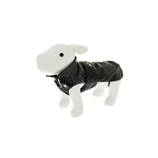 Chiodo " Rock Dog "