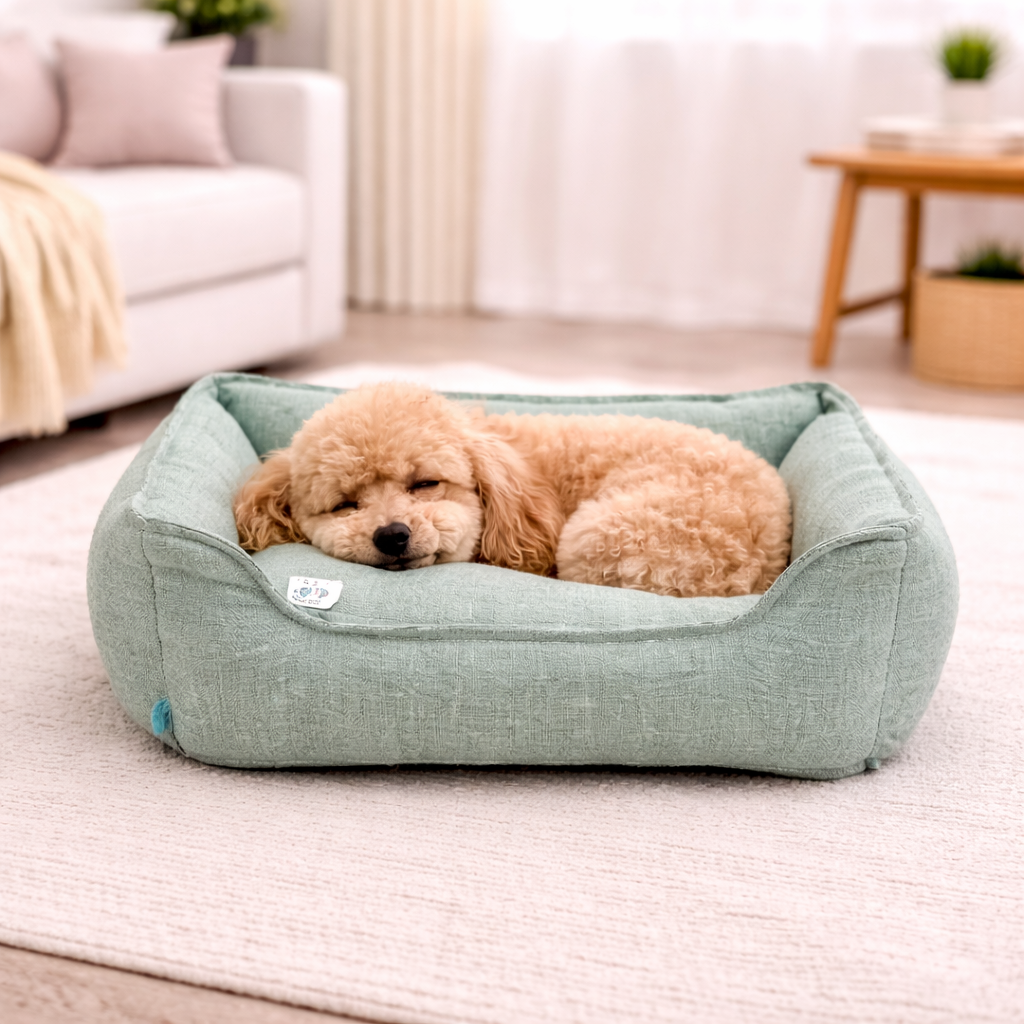 Cuccia Andy piccola - Verde Acqua (48x40x18 cm)