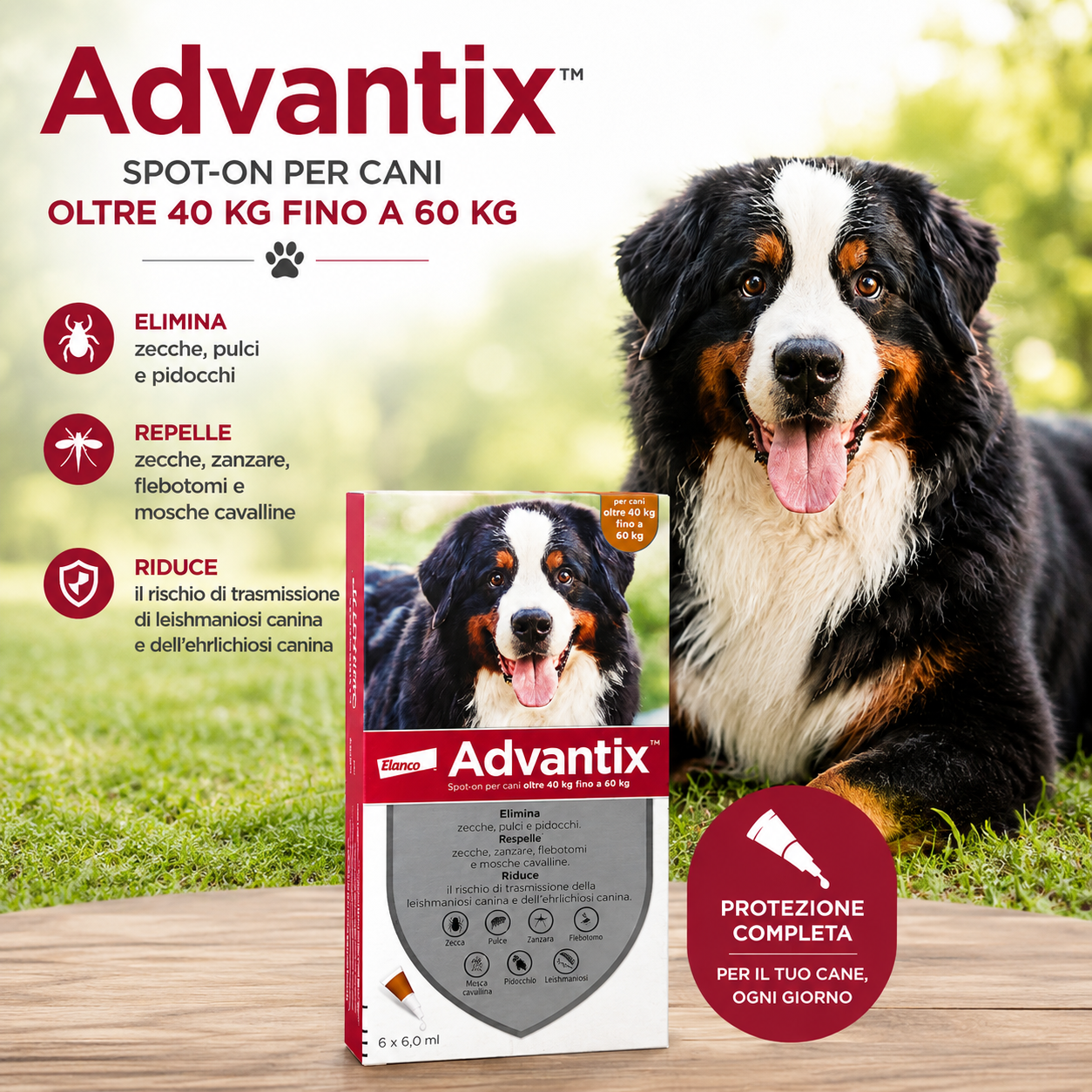Advantix® Spot-On per Cani oltre 40 kg fino a 60 kg