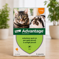 Advantage® 80 mg Spot-On per Gatti Grandi e Conigli Grandi (≥ 4 kg) – Soluzioni Vendibili Singolarmente