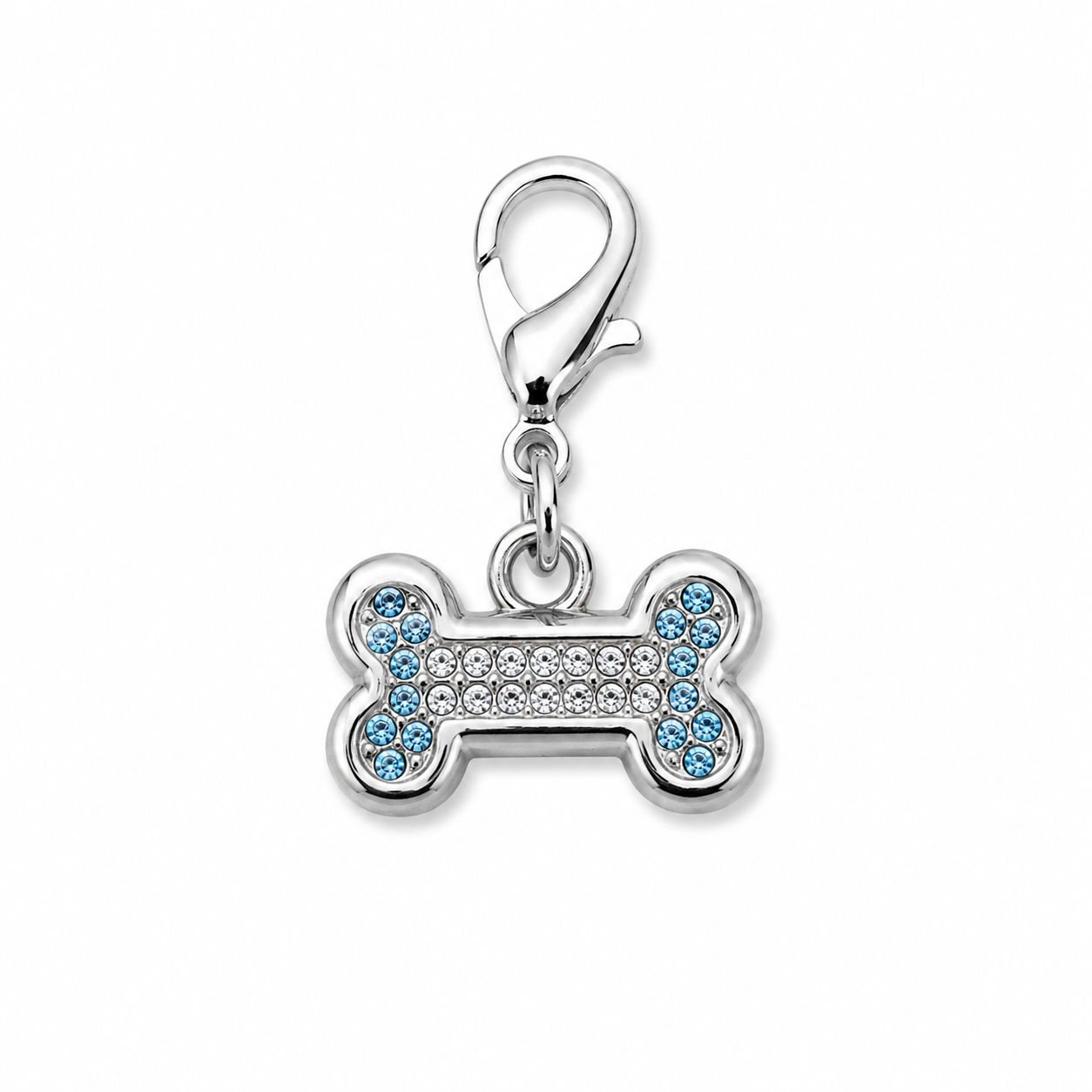 Charm Un Tocco di Stile per il Tuo Pet - Osso Celeste