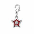 Charm Un Tocco di Stile per il Tuo Pet - Stella Rossa